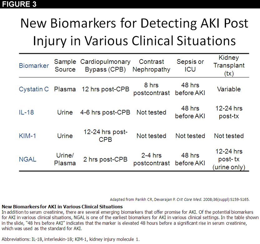 Which Marker Should We Use to Assess Acute Renal Injury American